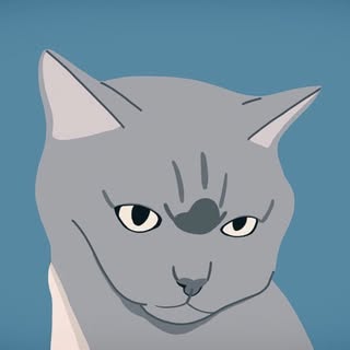 윤찬영 Chan-young Yoon