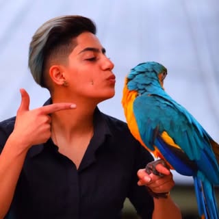 Younagolzar | یوناگلزار