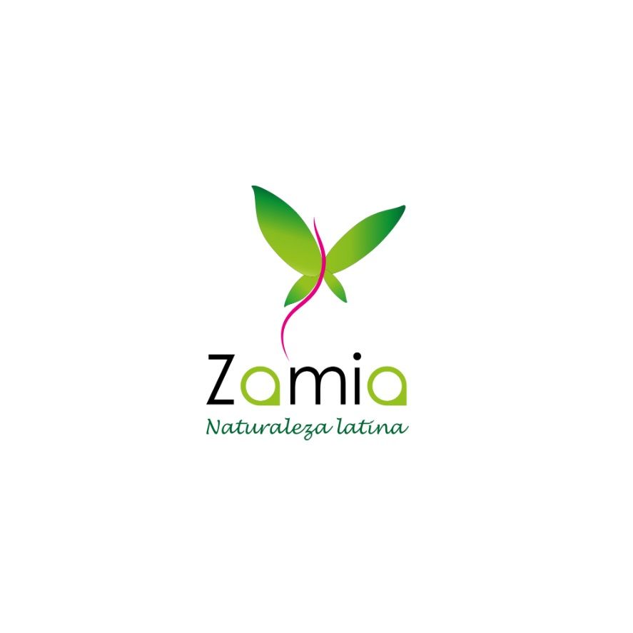Zamia Naturaleza Latina
