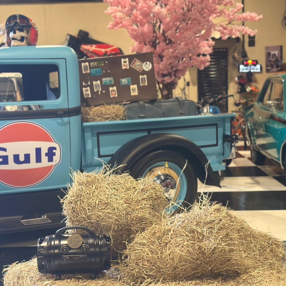 Abdução clássicos cultura