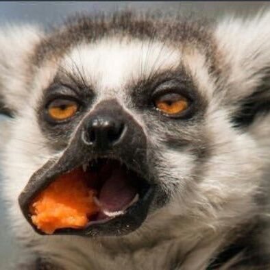 Zimleague🇺🇬🇿🇼@122k