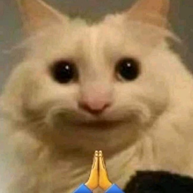 𝙕𝙞𝙣𝙣🧸✨